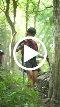 BIB:  <button type="button" onclick="openModal(27943609)" class="btn btn-primary btn-sm float-right" data-toggle="modal" data-target=".modal-high-quality">
                <i class="fa fa-download"></i> Download
                </button>